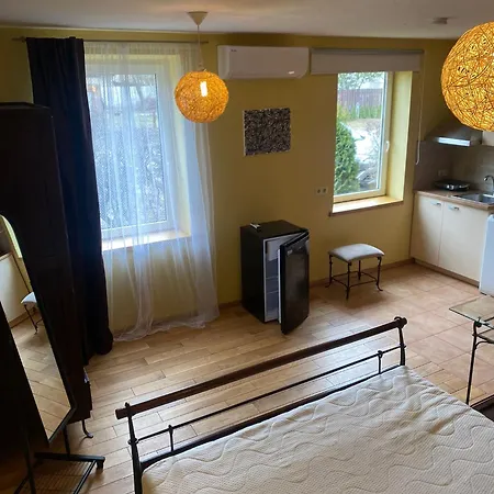 Gudyno Lägenhet Kaunas